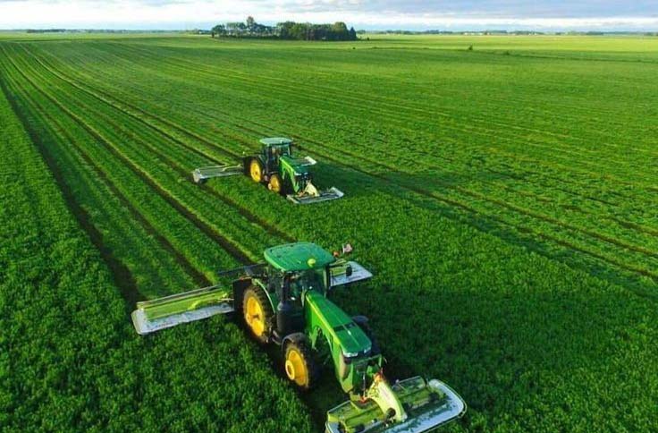 旱地农业（Dryland Farming）