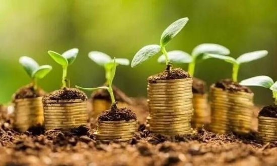 金融如何支持农业产业链延伸