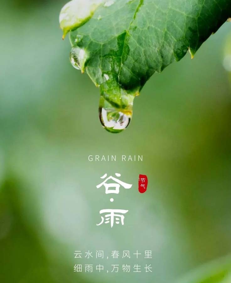 二十四节气|今日谷雨